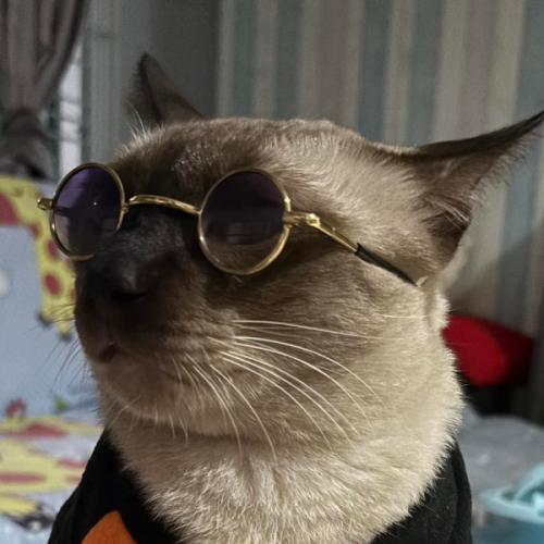 สมาชิกหมายเลข 4761614