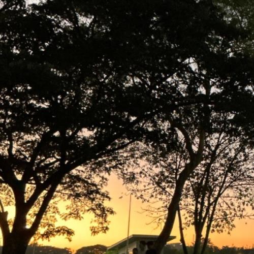 สมาชิกหมายเลข 6846791