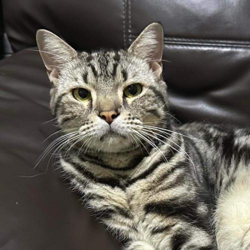 สมาชิกหมายเลข 9179437