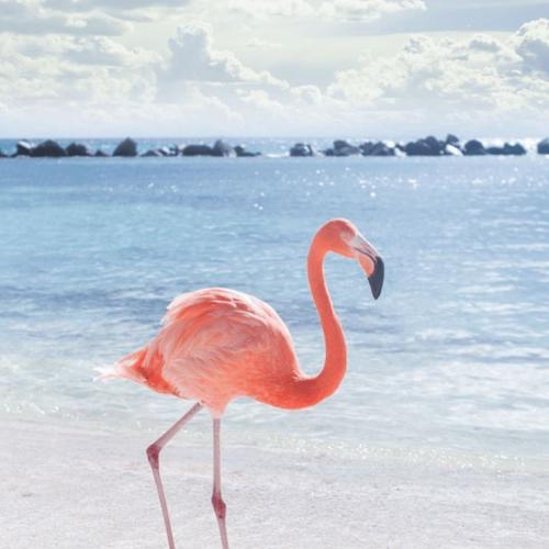 สมาชิกหมายเลข 3203096