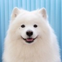 สมาชิกหมายเลข 4314537