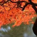 สมาชิกหมายเลข 4314584