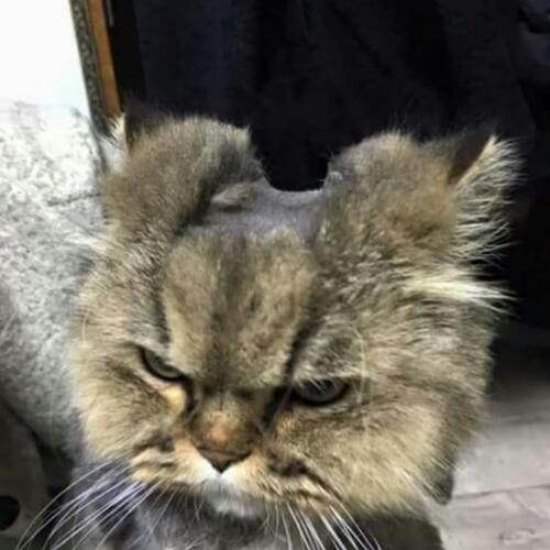 สมาชิกหมายเลข 4688945