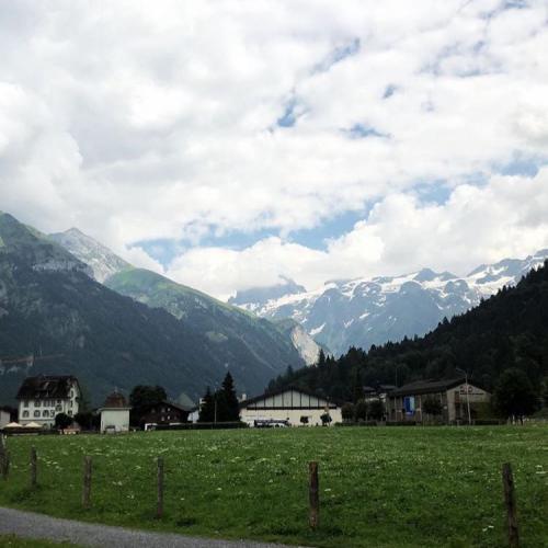 สมาชิกหมายเลข 4689143