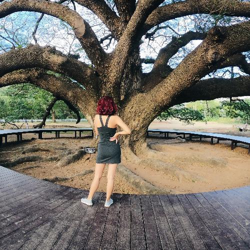 สมาชิกหมายเลข 1580793