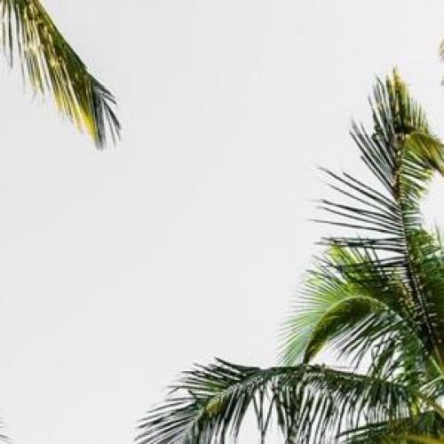 สมาชิกหมายเลข 2971817