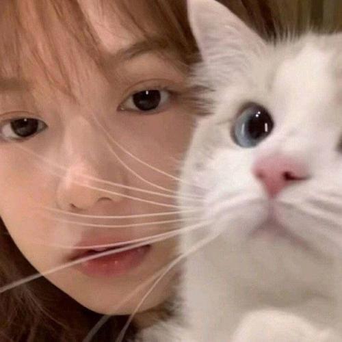 สมาชิกหมายเลข 6405416