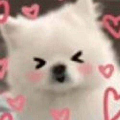 สมาชิกหมายเลข 6850691