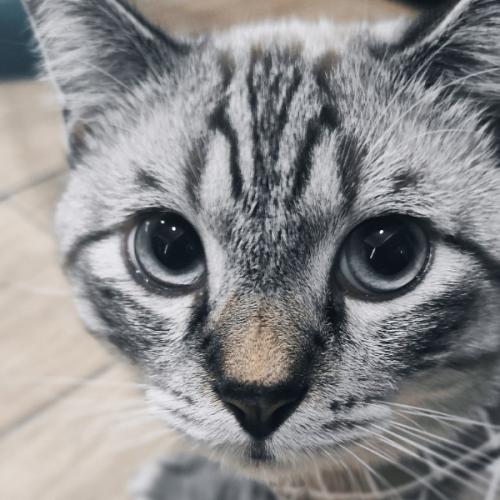 สมาชิกหมายเลข 7084609