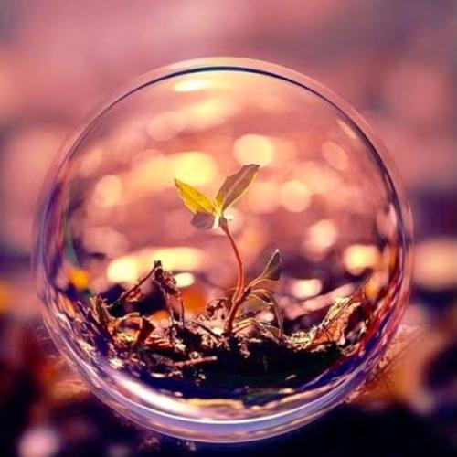 สมาชิกหมายเลข 5637792