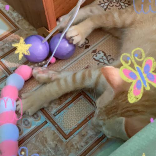 สมาชิกหมายเลข 7748022