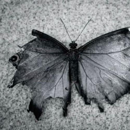 สมาชิกหมายเลข 6971441