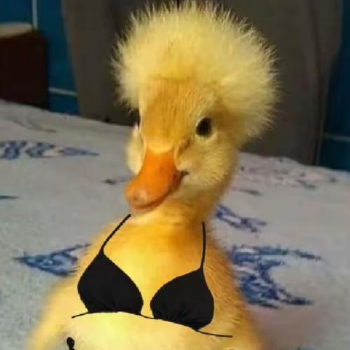 สมาชิกหมายเลข 9181067