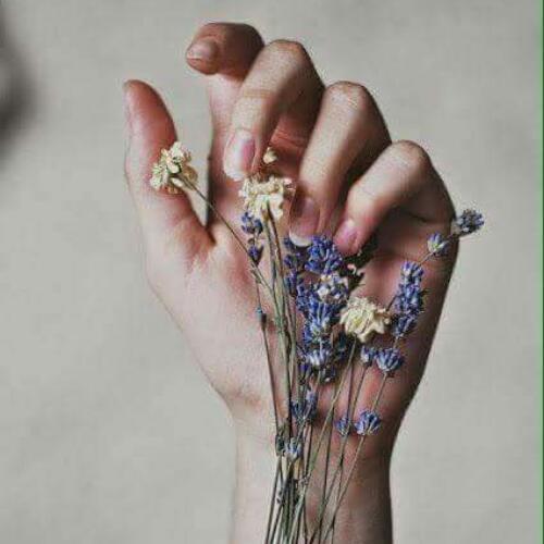 สมาชิกหมายเลข 4689401