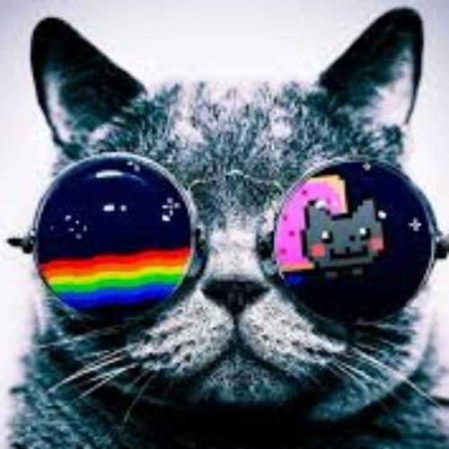 สมาชิกหมายเลข 4689595