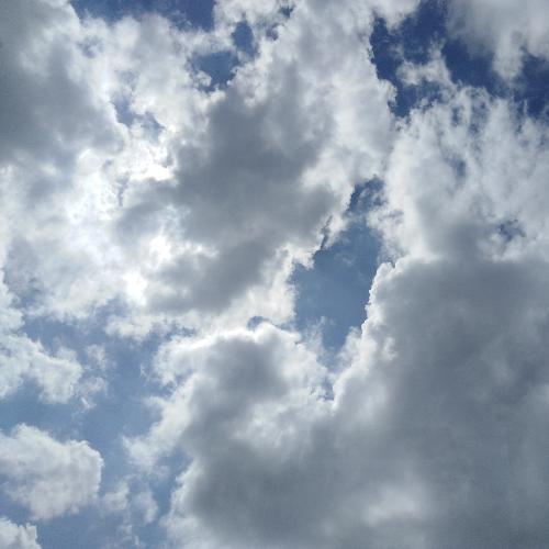 สมาชิกหมายเลข 5048841