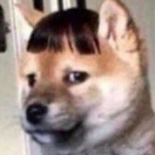 สมาชิกหมายเลข 5448903