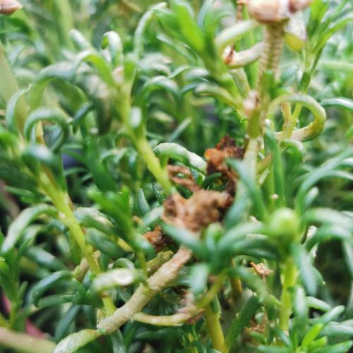 สมาชิกหมายเลข 3843538