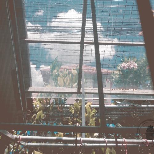 สมาชิกหมายเลข 5743769