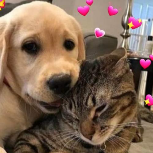 สมาชิกหมายเลข 5963649