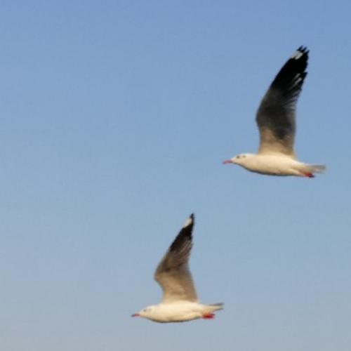 สมาชิกหมายเลข 2167206