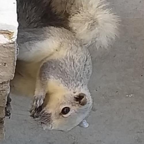 สมาชิกหมายเลข 6577352