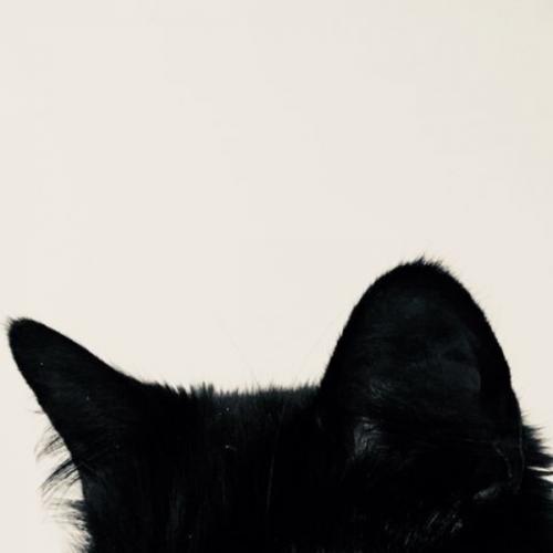 สมาชิกหมายเลข 6577444