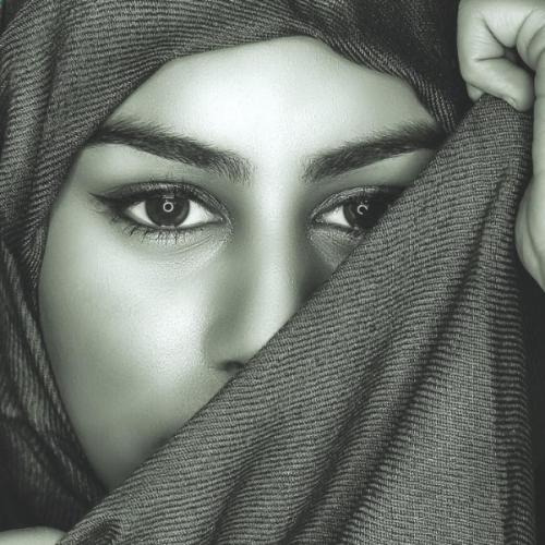 สมาชิกหมายเลข 7246153