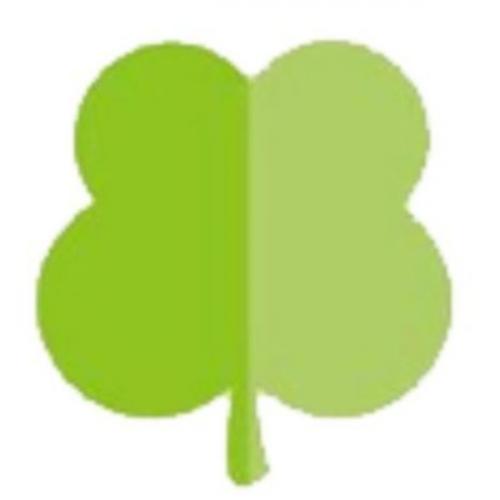 สมาชิกหมายเลข 7308984