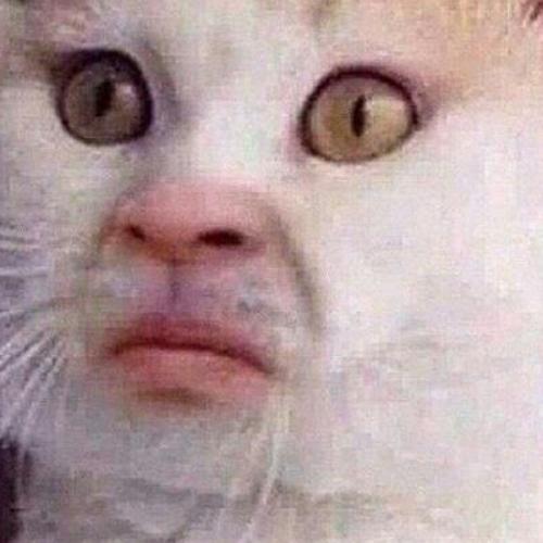 สมาชิกหมายเลข 8139750