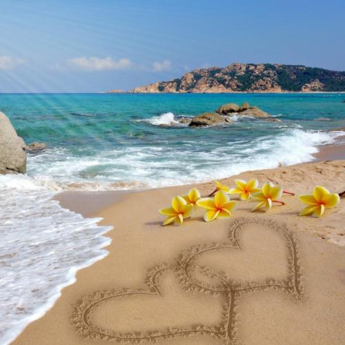 สมาชิกหมายเลข 6334782