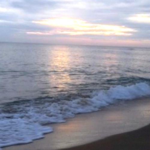 สมาชิกหมายเลข 8695072