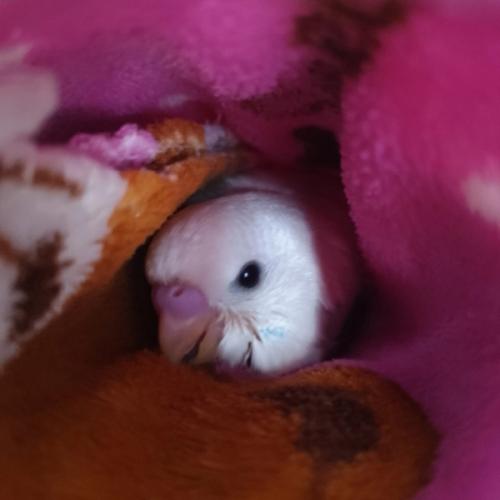 สมาชิกหมายเลข 8829996