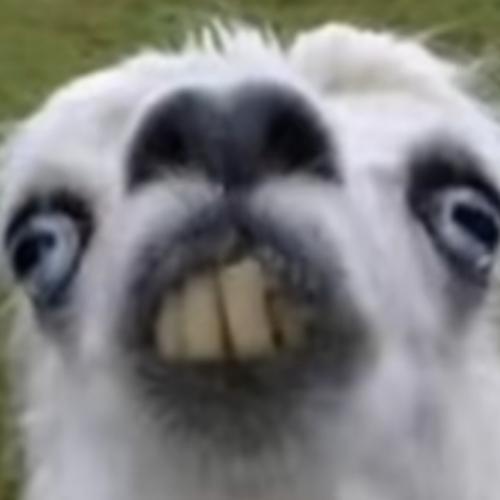 สมาชิกหมายเลข 9181852