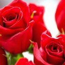 สมาชิกหมายเลข 2484937