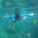 ฟิน บางเมืองใหม่