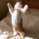 สมาชิกหมายเลข 3847803