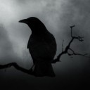 สมาชิกหมายเลข 3847919