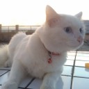 สมาชิกหมายเลข 3848180