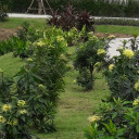 สมาชิกหมายเลข 2233919