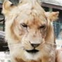 สมาชิกหมายเลข 5056052