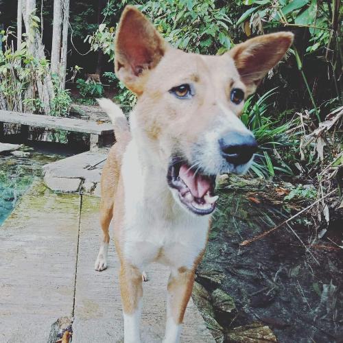 สมาชิกหมายเลข 5056164