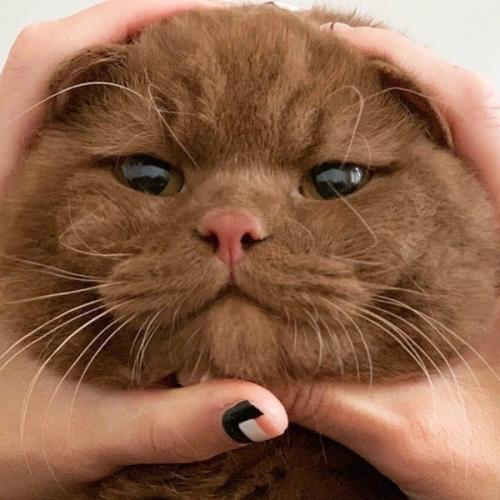 สมาชิกหมายเลข 5970529