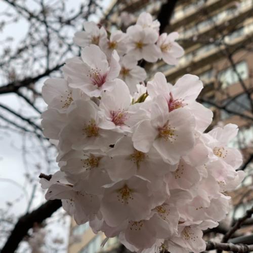 สมาชิกหมายเลข 5790955