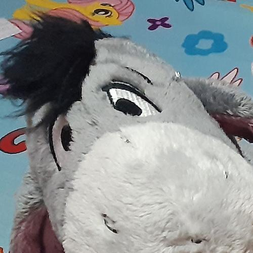 สมาชิกหมายเลข 6577880