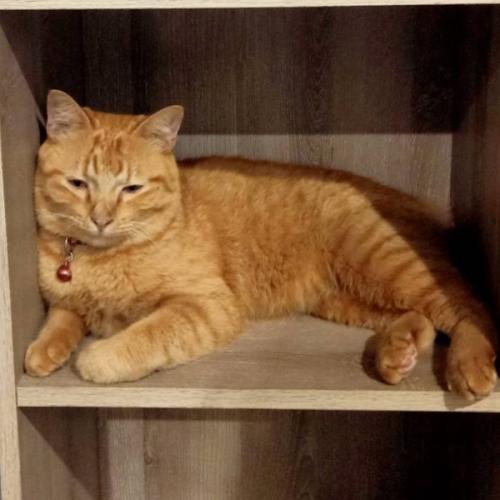 สมาชิกหมายเลข 4849380