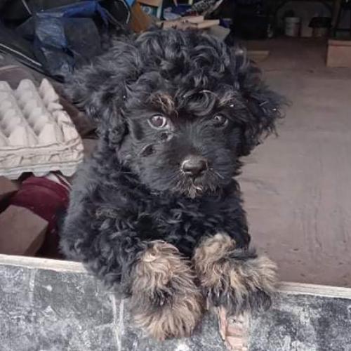 สมาชิกหมายเลข 1341140