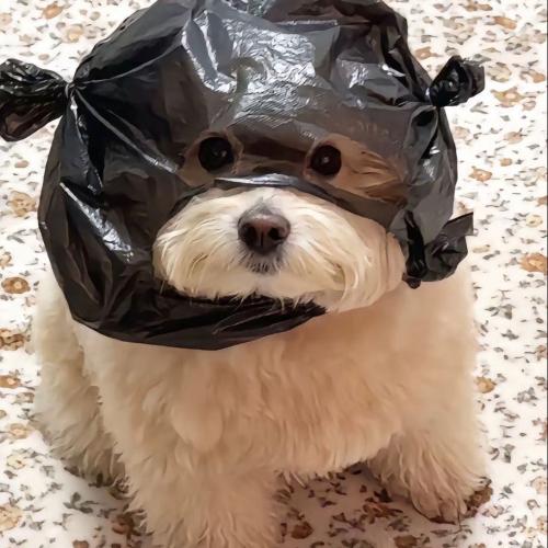 สมาชิกหมายเลข 7646036