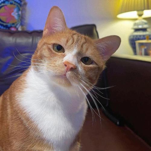 สมาชิกหมายเลข 8752219