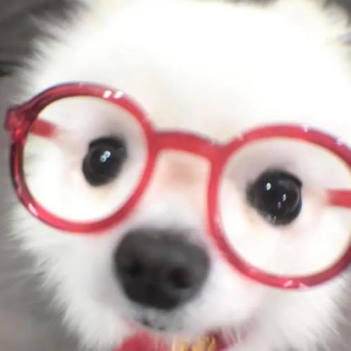 สมาชิกหมายเลข 9180713